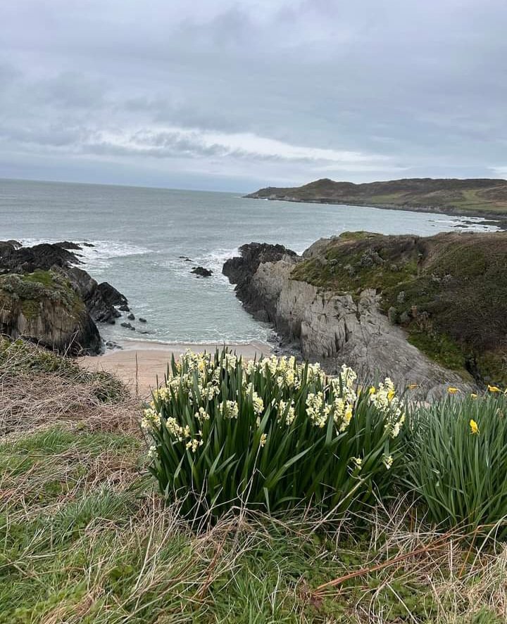 Wishing our readers far and wide a happy Easter 😀🍫🐇🐣🐥
