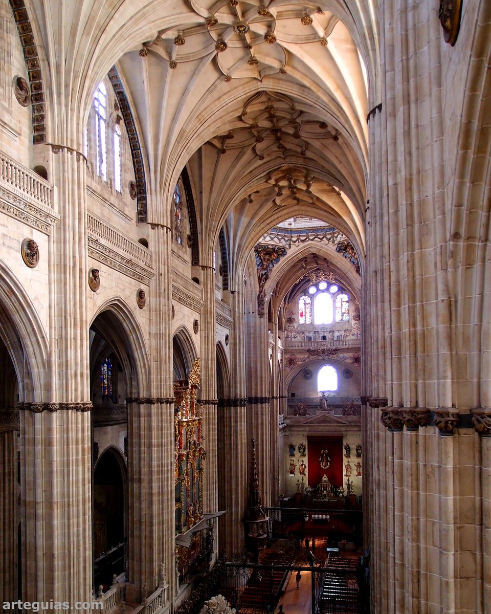 El más espectacular encuadre de la Catedral Nueva de #Salamanca es desde el triforio, hacia los pies de la catedral. Desde aquí se observa la inmensidad del edificio. Una vista sobrecogedoramente bella arteguias.com/catedral/nueva… #artegotico #gotico #catedral #arte #historia #viajes