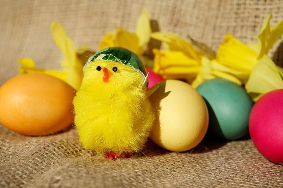 burwellmuseum's tweet photo. Easter Family Fun at Burwell Museum and Windmill today, Easter Sunday. Come any time between 10am and 3pm. https://t.co/23luntE5px https://t.co/hdbl8k5jYB