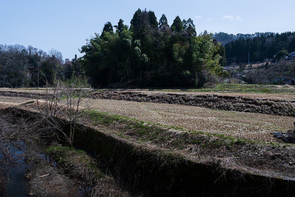 珠洲市若山町に出現した2mの段差を見てきました。この辺は中地区といって風光明媚なところ。こんな恐ろしいことが起こるなんて想像もつきませんでしたが、この目で見て圧倒されました。
#能登半島地震