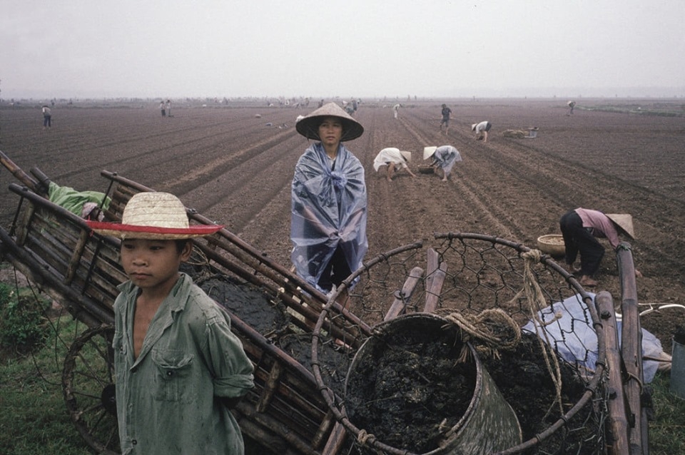 David Alan Harvey Familia de campesinos, Vietnam. 1989