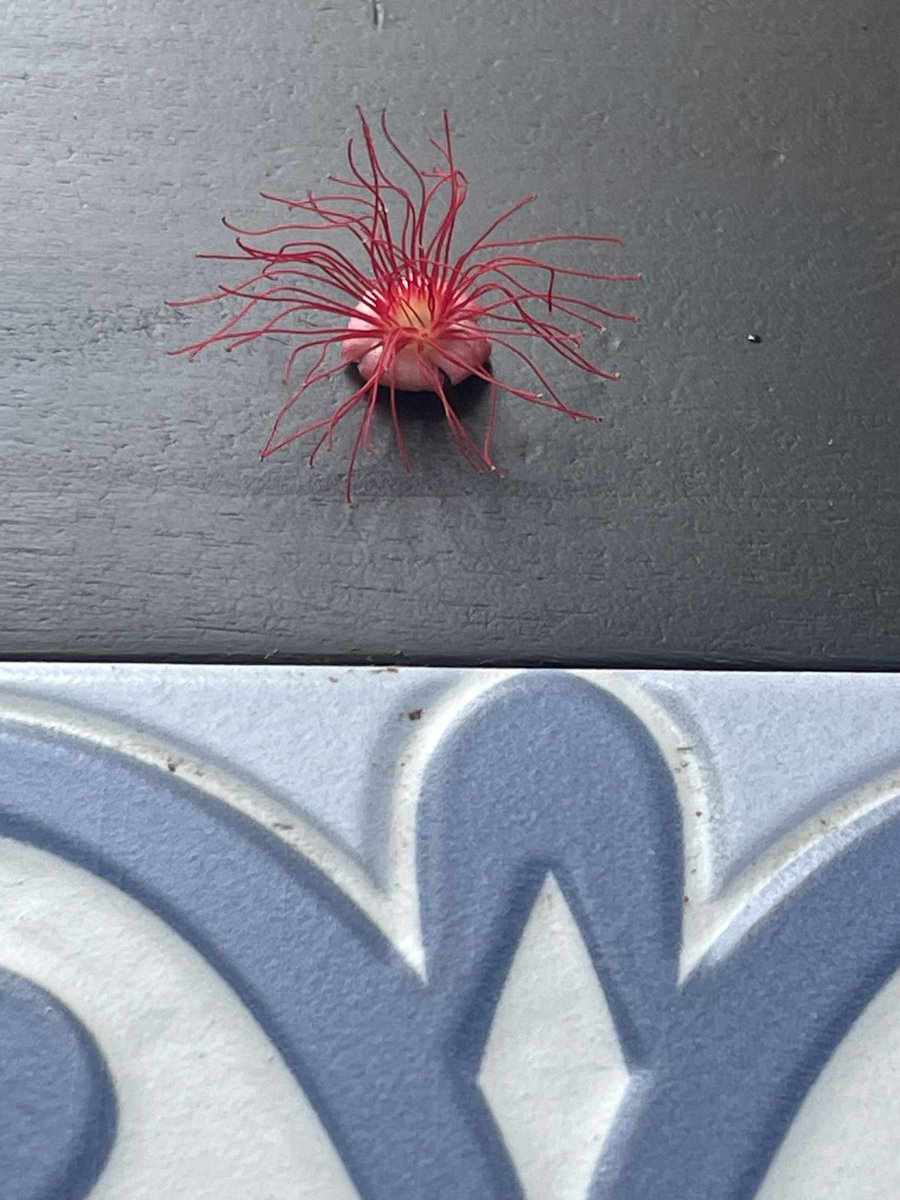 JusssTony's tweet image. Random

#RandomPics