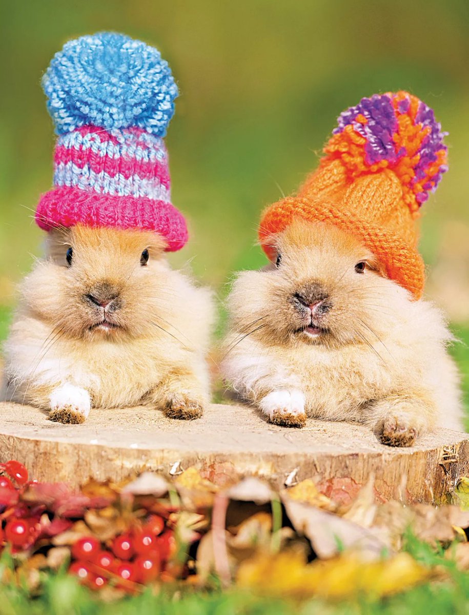 Easter wishes to everyone 💛🩷🩵💚
