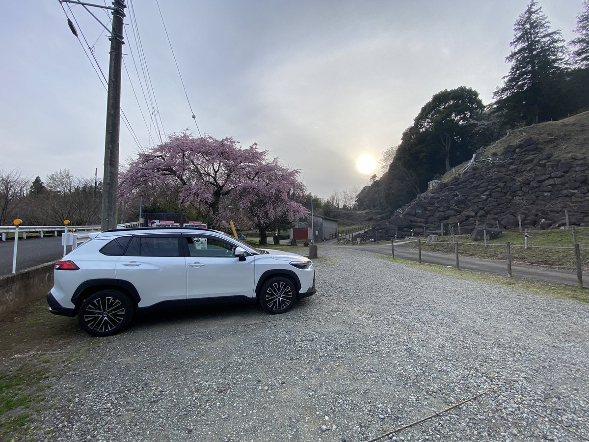 愛車と桜と石垣