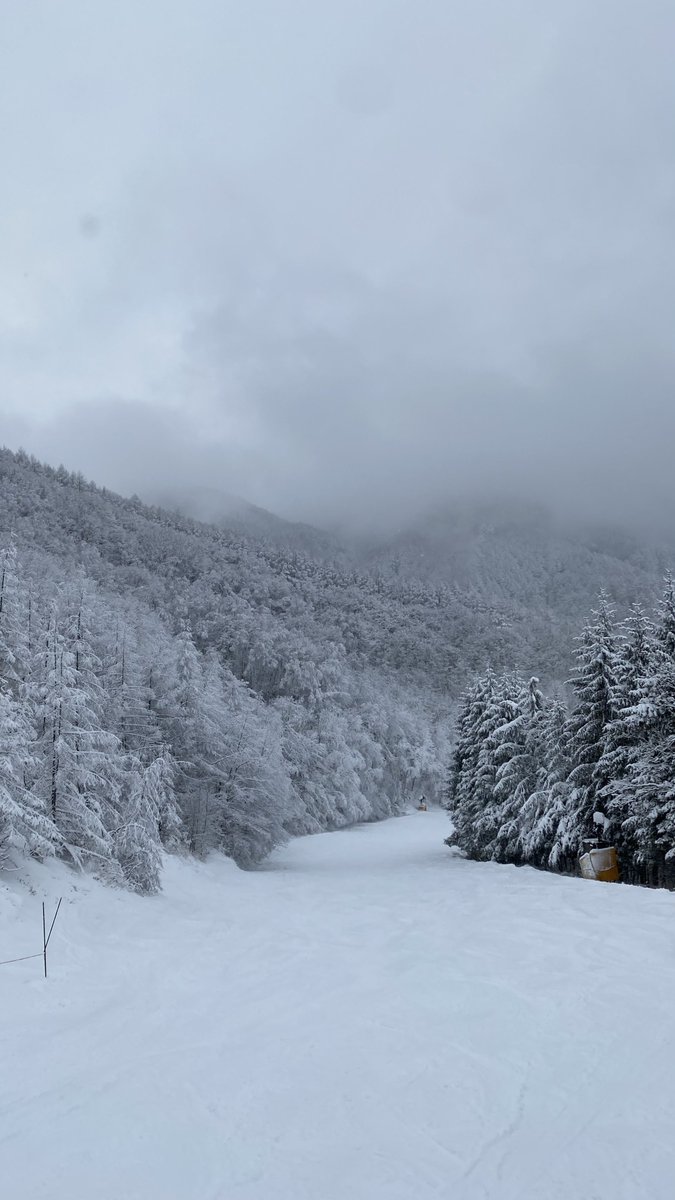 シーズンアウトを宣言したものの、身体が雪山を求めて離脱症状を起こしてる ひとまず対症療法としてカメラロールを漁って凌ぐ🏂