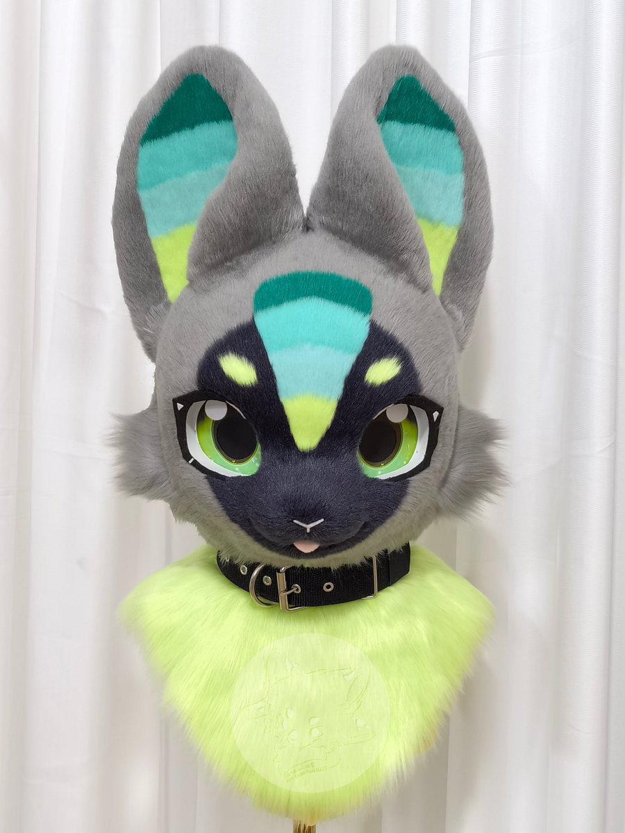 MtBOBO236992's tweet photo. Hello everyone, this is a newly completed premake head. If you like, you can talk to me.

#fursuit #premakefursuit #furry #kemono #fursuitforsale https://t.co/CAYbjp9wP5