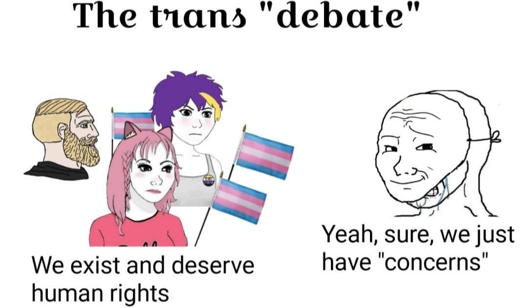 feliz dia de la visibilidad trans porque existimos y no hay nada que debatir 🏳️‍⚧️