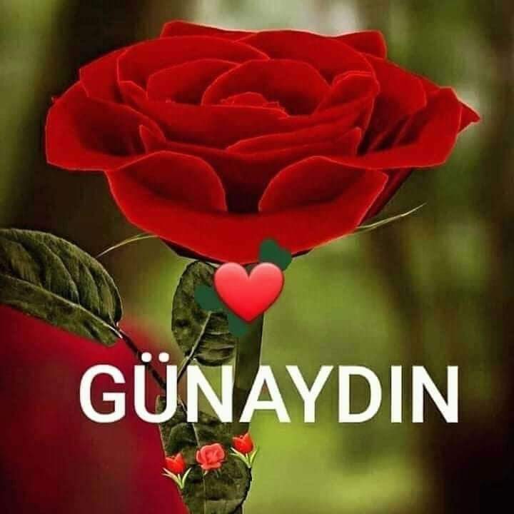 Arkadaşlar Antalya merkez den herkese