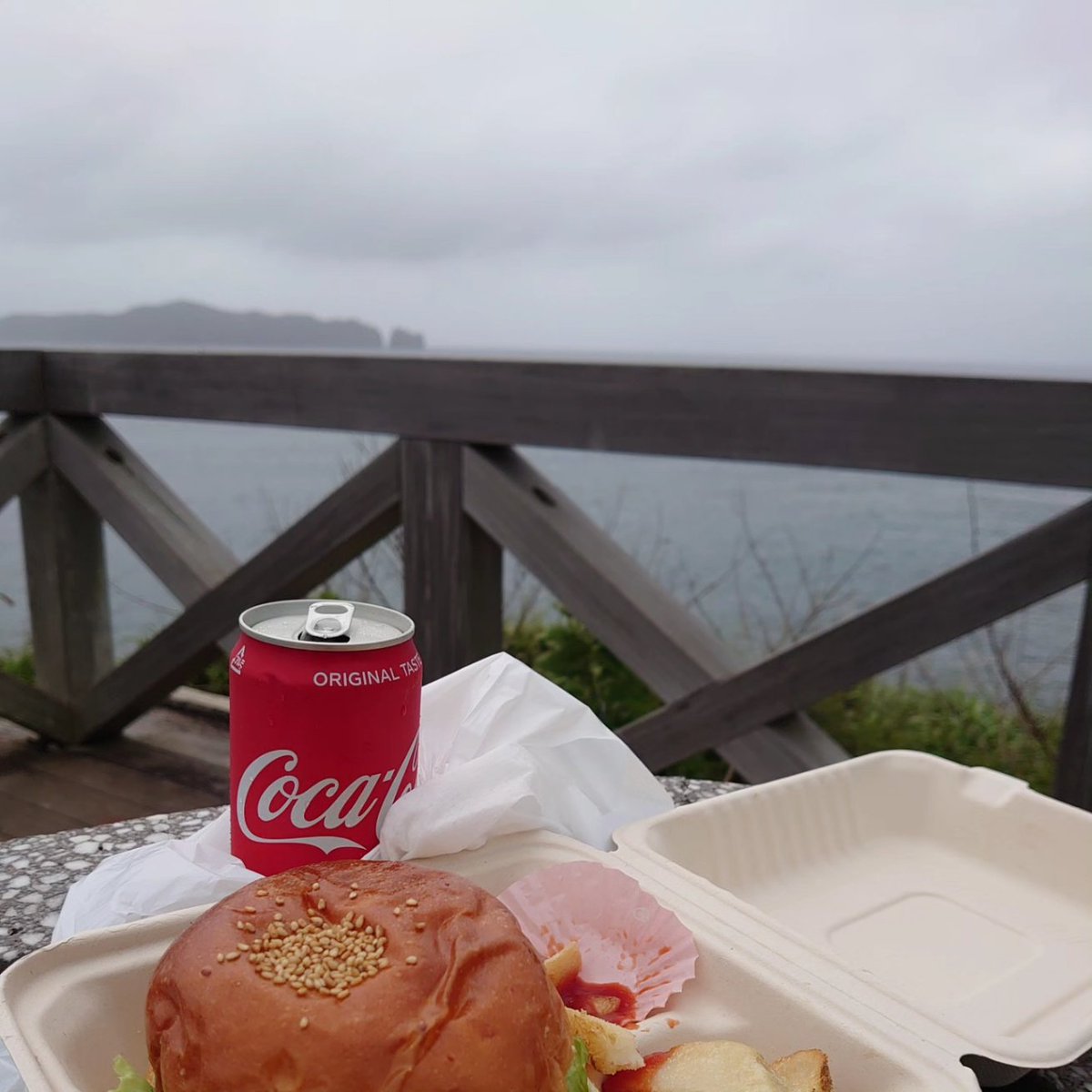 離島ランチ

#ホエールウォッチング #世界遺産 #ハンバーガー