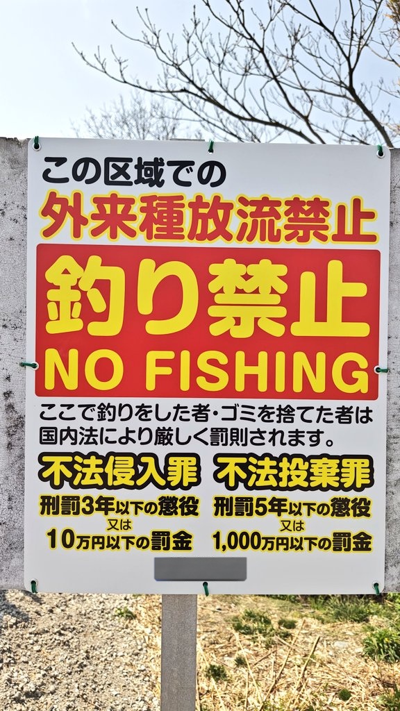 t2zbass's tweet photo. ホーム的な池2箇所にこの看板。
（多分？）釣人が招いた結果とは言え・・残念。
今年はどこの池に行こうかな？
#バス釣り
#バス釣り好きな人と繋がりたい https://t.co/B97tuSqYfI