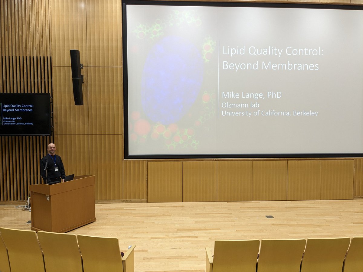 MikeLange tweet media