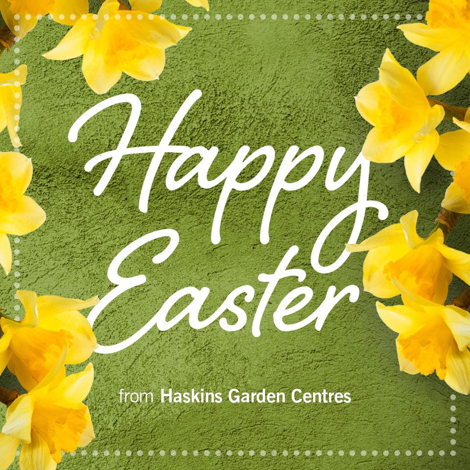 Happy Easter everyone 🐣🐥🐣🍫

Don't forget that we're closed today, and will reopen tomorrow as normal.

#Haskins