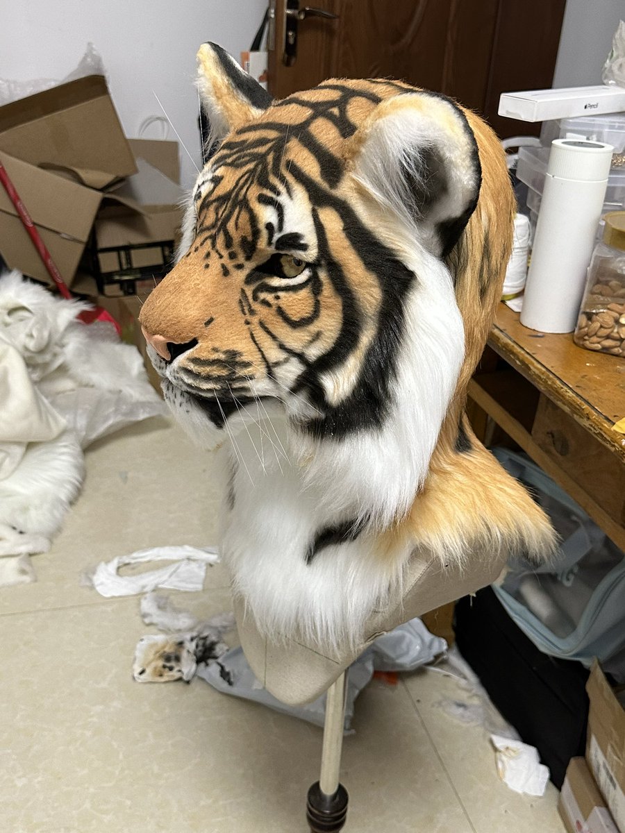 The Sumatran tiger head Auction is about to begin *Time：4.1 12:00-4.8 24:00 *Starting from $1000 （Each bid shall not be less than $50.） *Head circumference within 58cm, head height within 25cm #furry #fursuit #fursuitforsale #tiger #兽装 #写实兽装 #furryartist #太阁工作室