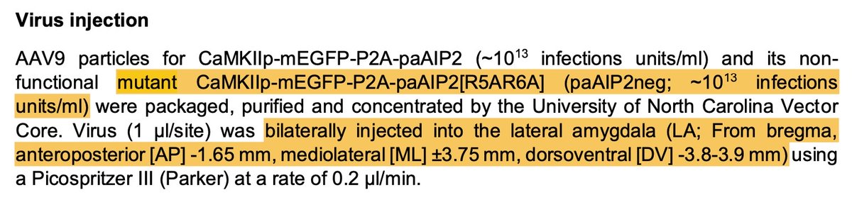 bauhws's tweet photo. @Ryohei_Neuro Congratulations on a fascinating result! How local was the change? Is it possible that the where and when of Camk2 mutation is equally important? I recall papers on the tubulin code for 'distributed storage' of some sort throughout the brain, w/ Camk2 everywhere. https://t.co/P4kt4GkLsn