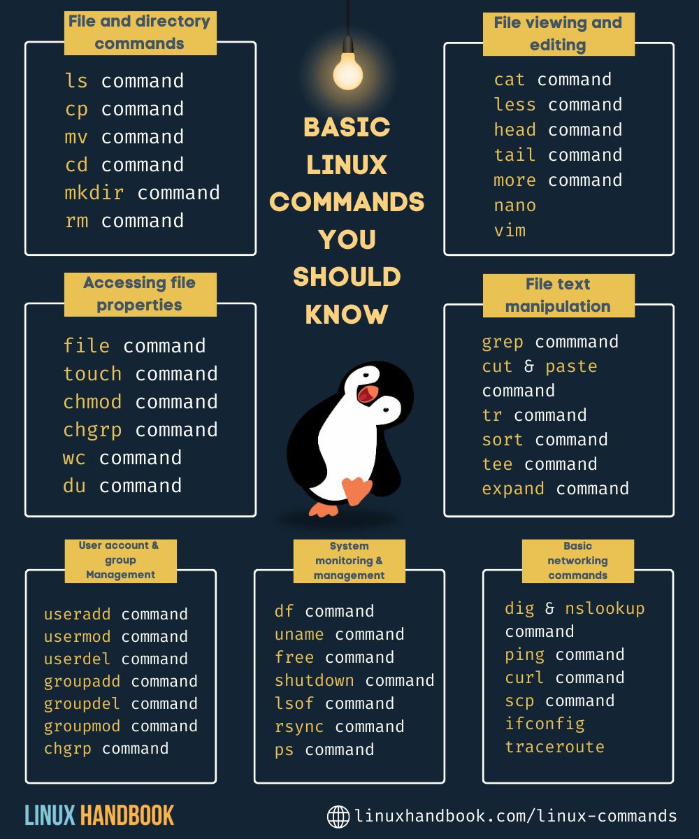 Basic Linux Commands You Should Know