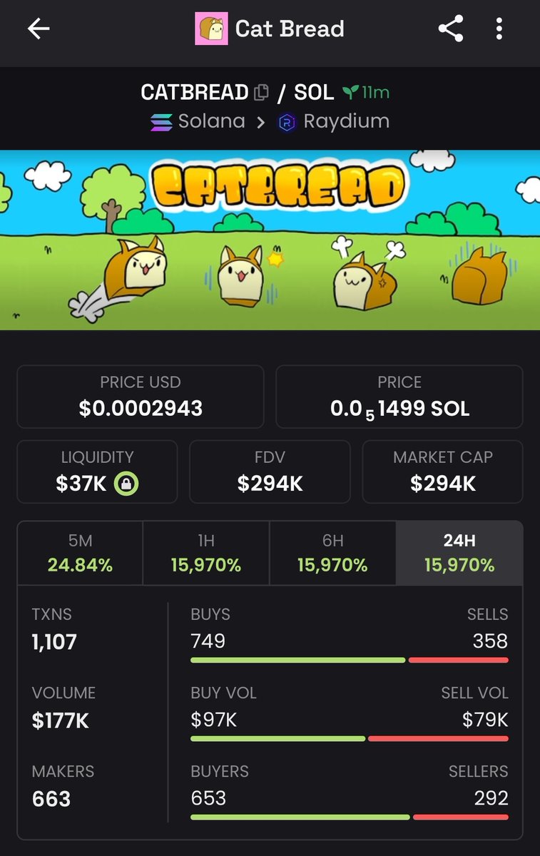 EzKrypton's tweet image. Ok last one for the day since I got reminded &amp;amp; warned.☠️
#catbread
#memecoins on $SOL
#RAYDIUM $doge $mew