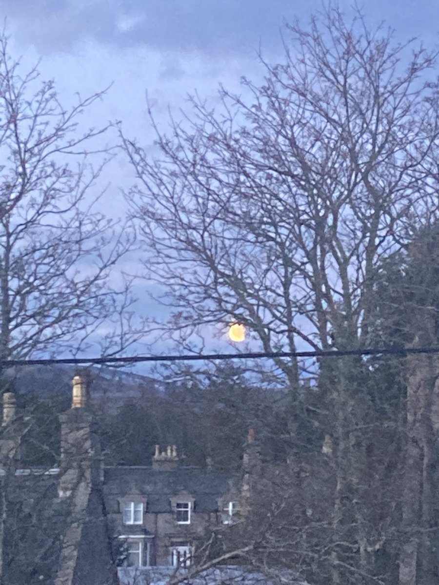 Shit picture of the Moon at 06:27 on the first day of Summer, but it’s really 05:27  wink wink #springforward