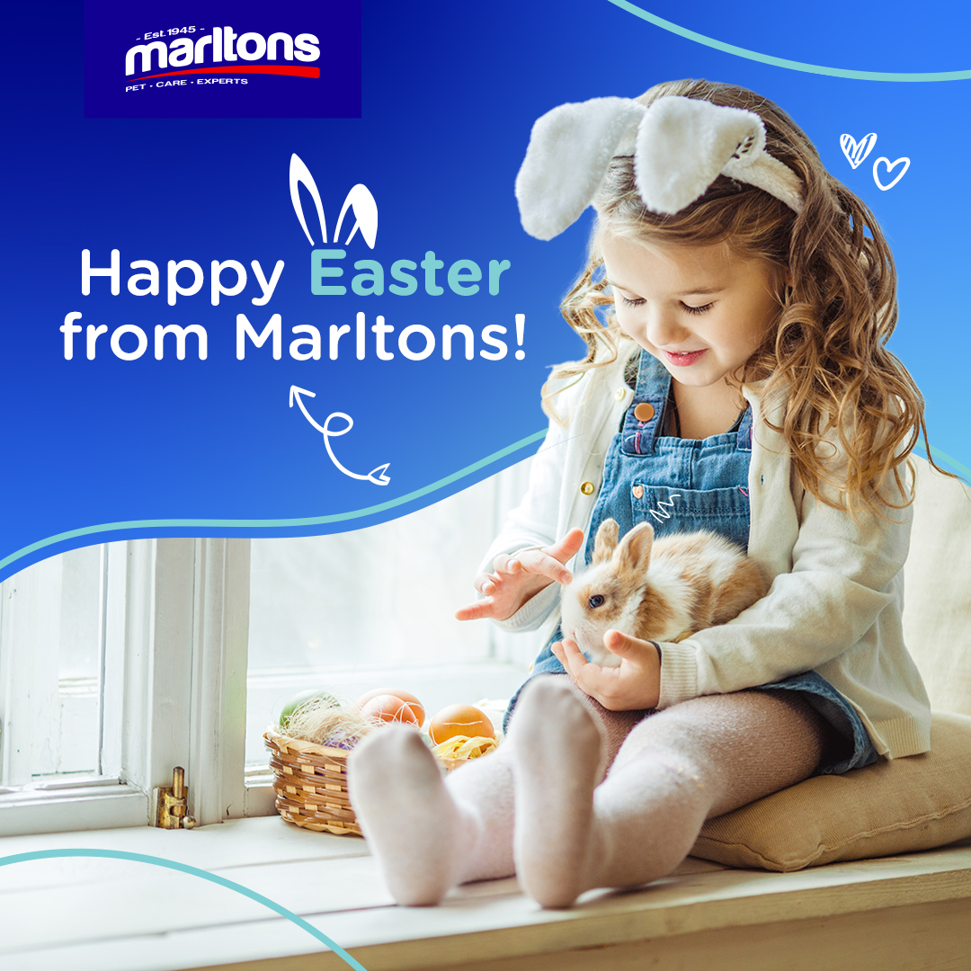 Don’t let your pets miss out on the Easter hunt fun!
Why not hide some healthy, delicious, and nutritious Marltons treats around the garden for them to have fun sniffing out? It’s a great way to celebrate Easter with your pets! 🐰💖
#Marltons #WeCare #Easter #Pets #EasterFun