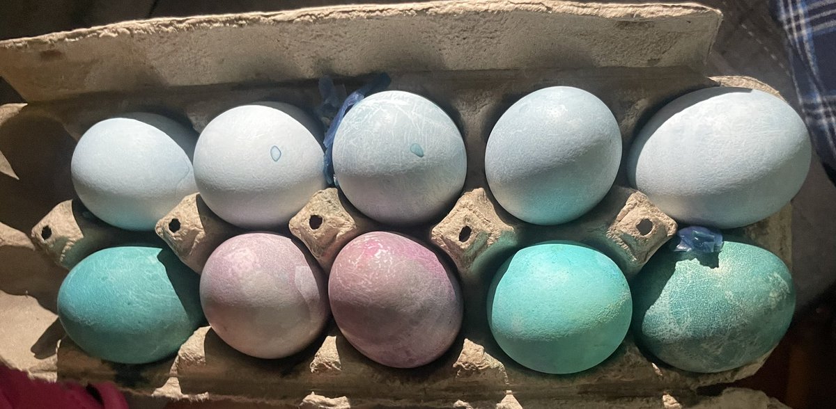 alesotelosolis's tweet photo. Family time is the best time. 💕🙌🏽 #HolySaturday 

🪺Organic food coloring for half of our Easter eggs (top row). #PurpleCabbage #NeverKnew

👩🏻‍🎨 Upcycled water color &amp; we painted with cotton balls &amp; plastic forks! Our girls are very creative. 🎨

🧁Made gf bunny cupcakes 🐰 https://t.co/BlsTuNPYLS
