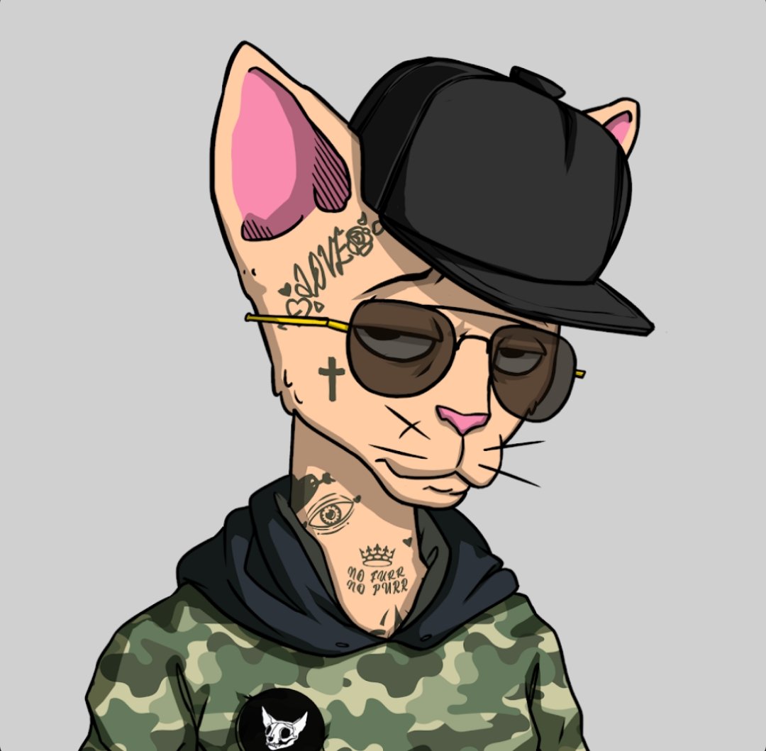 I'm a Cet <a href="/cetsfk/">Cets</a>