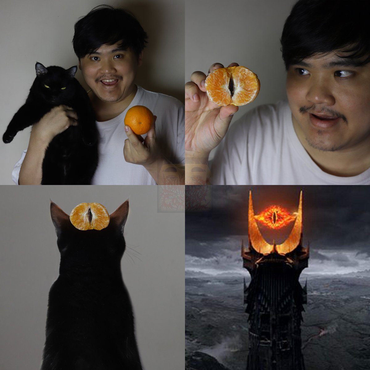 Eye of Sauron

#lowcostcosplay #eyeofsauron #thelordofthering #middleearth #mordor #cat #blackcat #orange #fruit #art #delicious