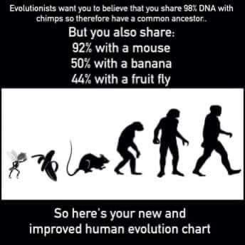Not Evolution tweet media