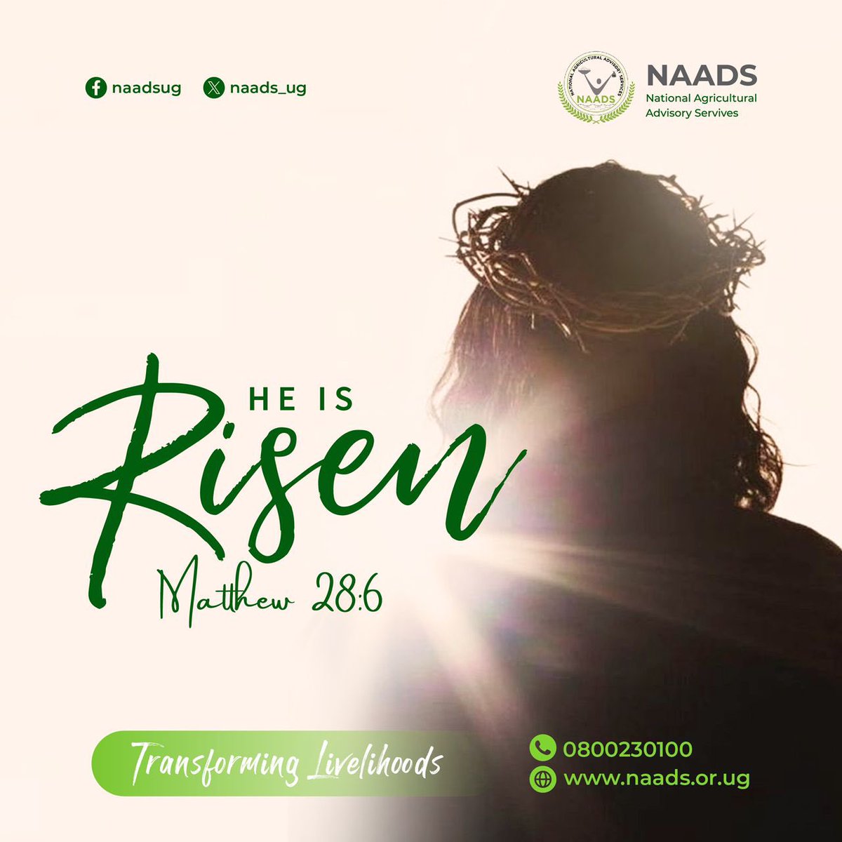 On this Easter Sunday, may you feel the love and grace of the Lord and Savior, Jesus Christ, in every moment. #HappyEaster #happyeaster2024 #NAADSTransforminglivelihoods