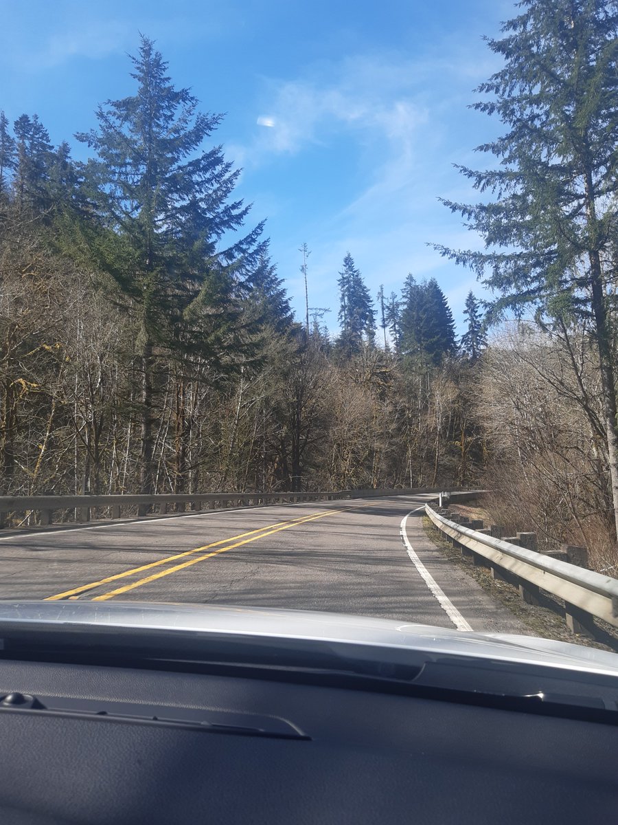 Beautiful drive to the Oregon coast.