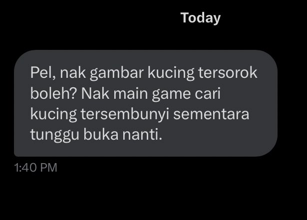 pelisahh's tweet photo. hahahahah random nak mampos la request harini 🤣🤣🤣 korang ada ke gambar kucing tersorok? https://t.co/lZRumvR3zP