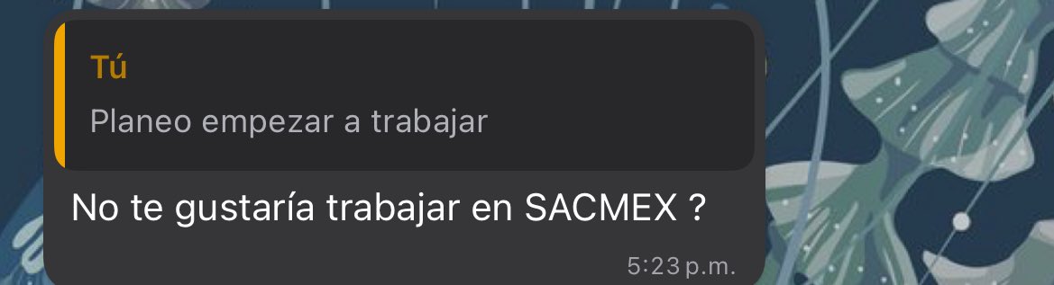 marianarchs's tweet photo. Yo manifesté esto 🥹 https://t.co/bxulD19LBI