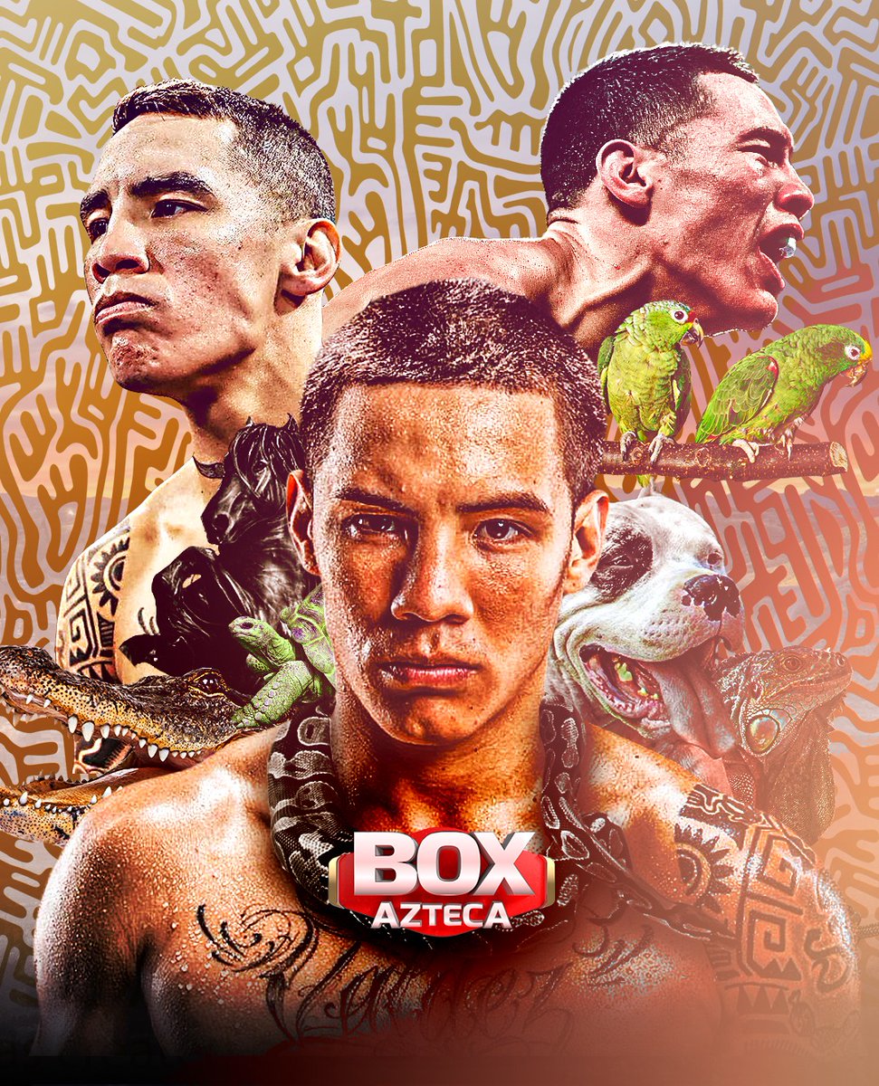 ¡NUEVO CAMPEÓN MEXICANO! 👊🇲🇽 @oscarvaldez56 derrotó, por KO, a Liam Wilson para apoderarse el título interino de la OMB en la categoría superpluma. #BoxAzteca #VanPorTodo 🥊