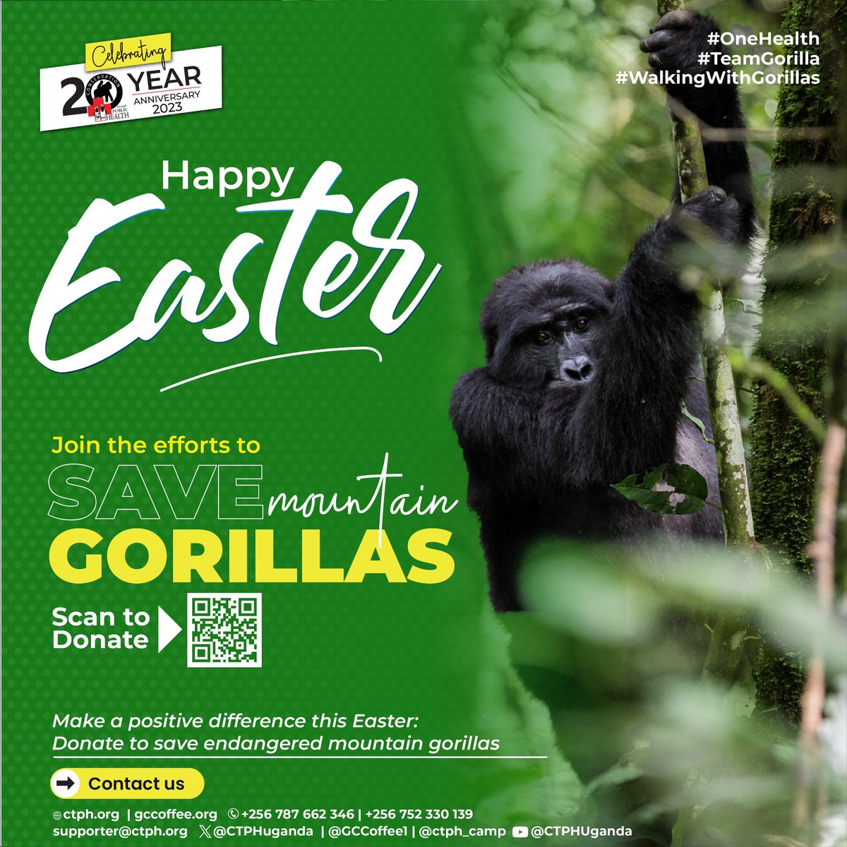 Happy Easter. We hope your day will be special, filled with peace, joy, and beautiful memories. #OneHealth #WalkingWithGorillas #TeamGorilla