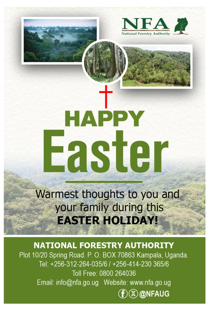 Happy Easter to you all. The rains are here let's grow a tree to celebrate the resurrection of Jesus Christ.