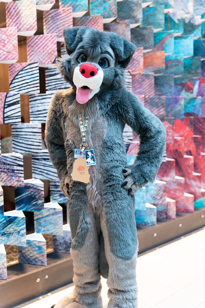 🦊: Cain
📷: @keeewiiii

#furryfiesta #TFF2024 #furries #fursuit