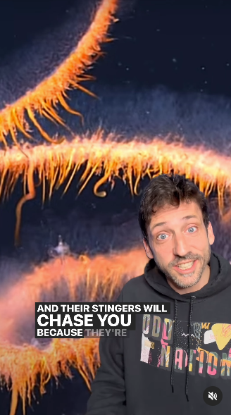 in today's lesson on how not to do science communication:

this guy has 6.4M tiktok followers and 400k on ig. he posted a grossly inaccurate tiktok about siphonophores 4 days ago and despite plenty of comments pointing that out, he reposted the same video to ig.