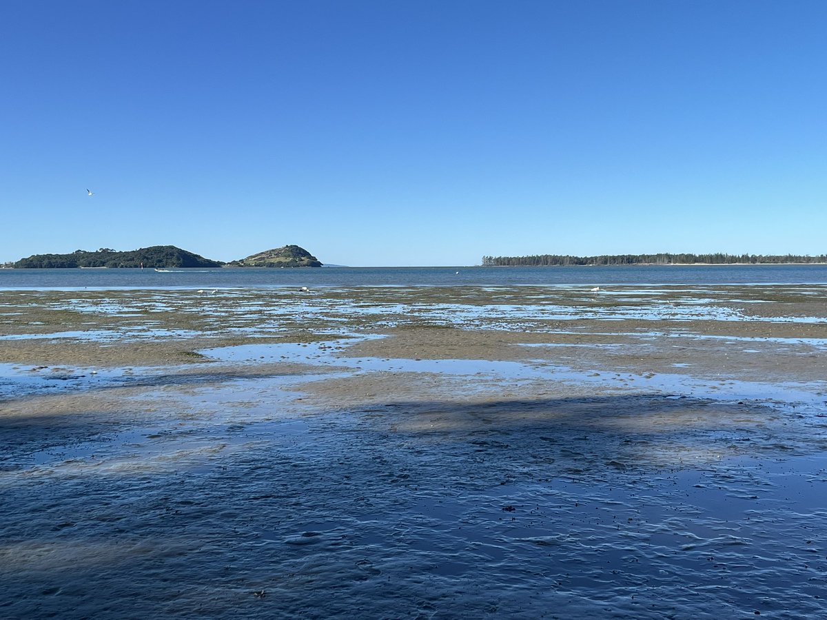 Jess Archer tweet media