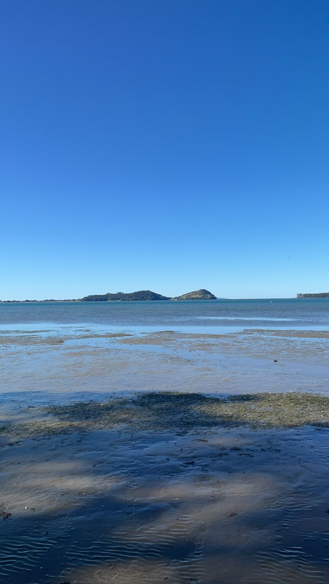 Jess Archer tweet media