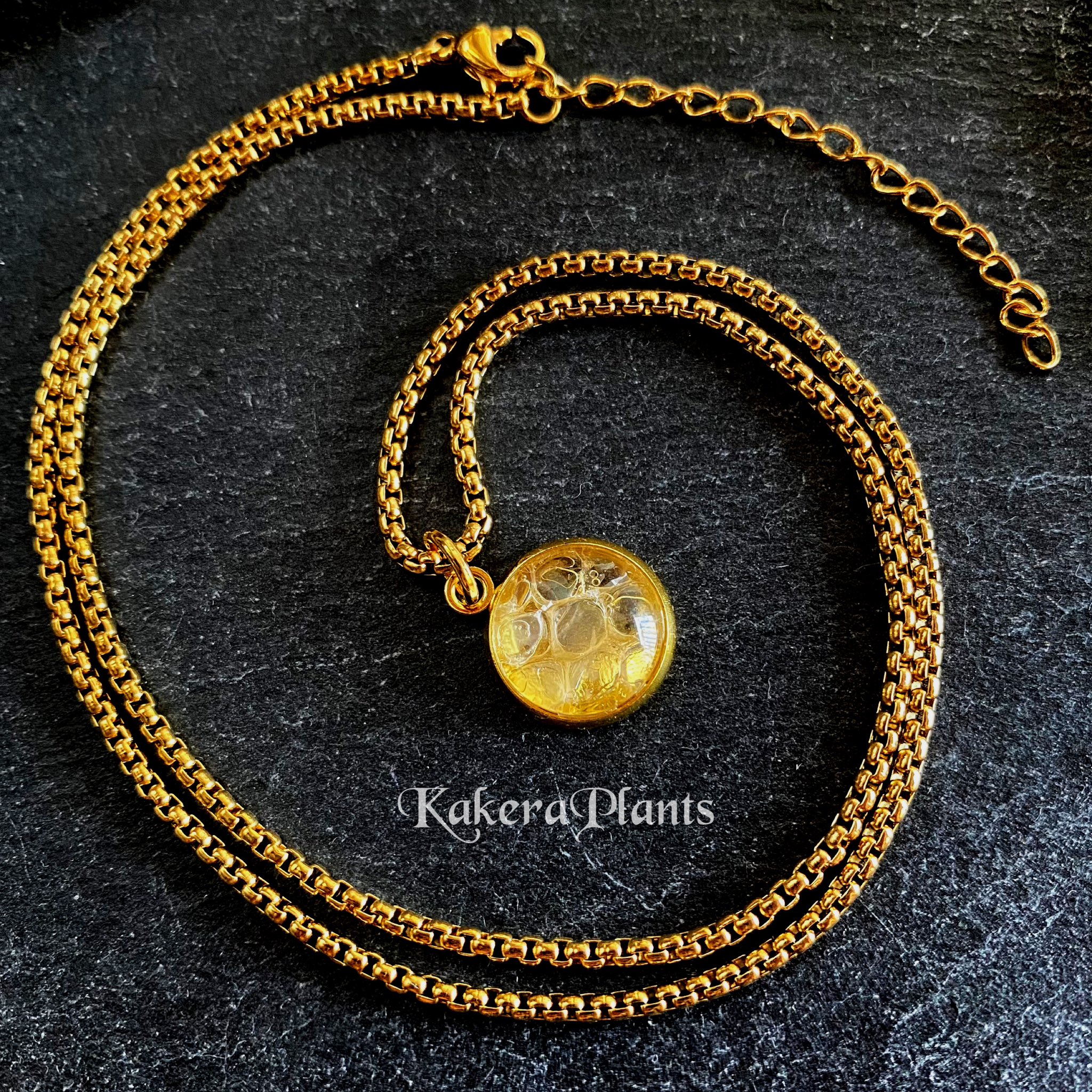 白蛇の脱け殻❤干支❤巳年❤超美品❣️しかも‼️妊婦さん❣️ 白蛇 - Search / X