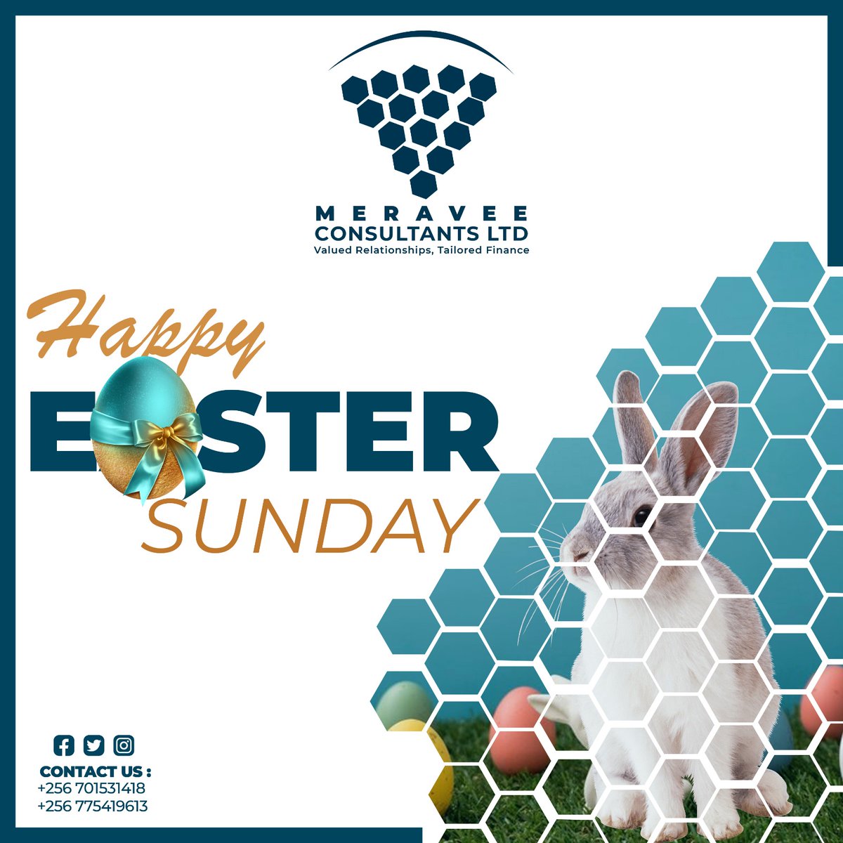 MERAVEE Consultants Limited tweet media