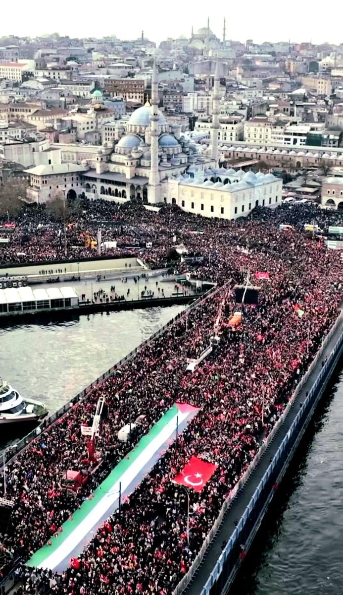 @BellaWallerstei In our thousands, in our millions, we are all #Palestinians Good people around the world are marching against #israeliGenocide, millions of us! The pic is from #Istanbul this weekend 🇵🇸🍉❤️🇵🇸🍉❤️🇵🇸🍉❤️❤️🍉🇵🇸❤️🍉🇵🇸❤️🍉🇵🇸