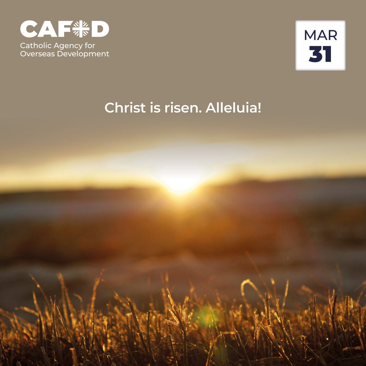 The wait is over. Christ is risen from the dead. Alleluia! We give thanks for all that the Lord has done for us. As we celebrate, let's look for the signs of hope in our world and recommit to bringing about a world where all may flourish. cafod.org.uk/pray/lent-cale…