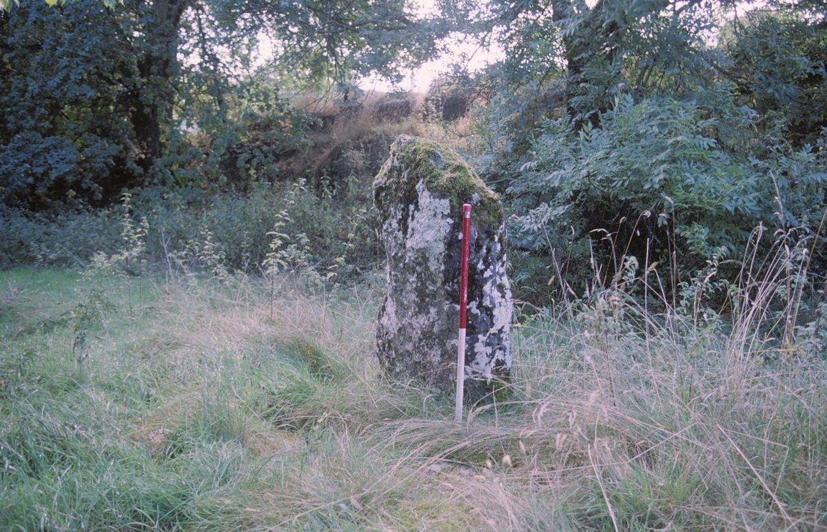 Llygadwy Standing Stone is proposed to form part of a Prehistoric alignment, but due to its unusual setting it is possible that it is a historic boundary marker. #StandingStoneSunday buff.ly/4bT0IYW