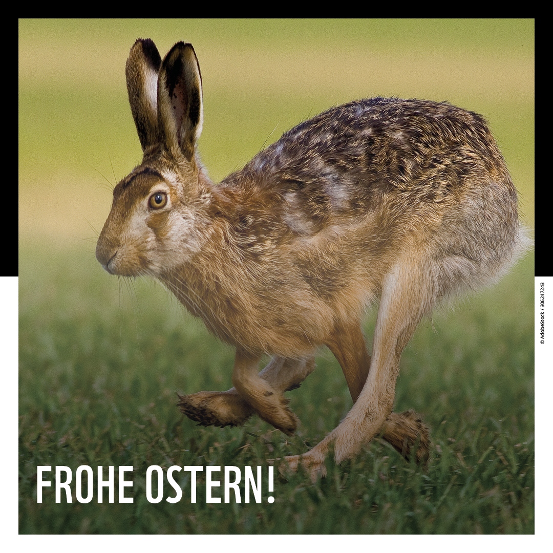 Das gesamte Team des WWF Österreich wünscht euch Frohe Ostern! 🐰🌼❤ #froheostern #ostern #wwf