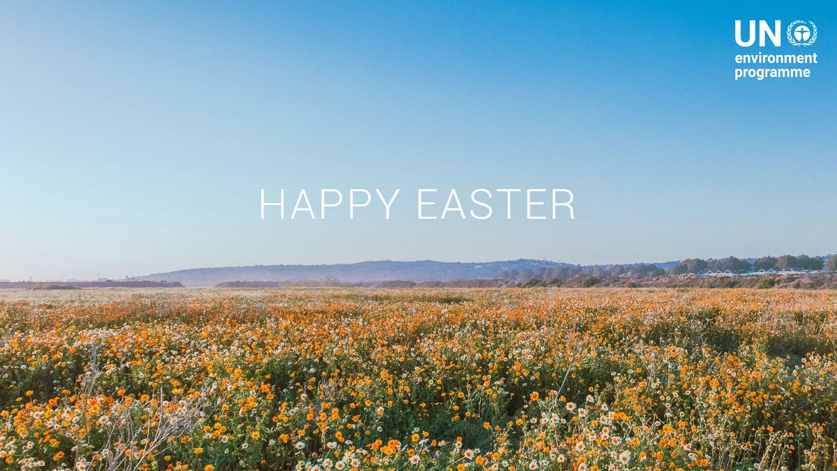 Happy Easter! To all those that celebrate around the world, I send you my #Easter greetings. During this time of reflection and hope, let us renew our commitment to peace on a sustainable environment, #ForPeopleForPlanetForPeace
