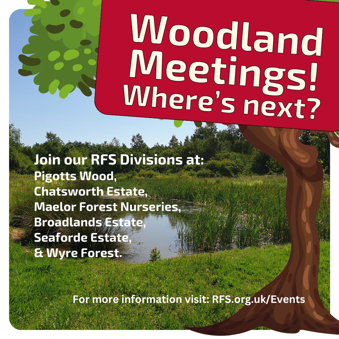 Our Woodland Meetings offer a sneak peak into diverse woodlands and estates. Find out more about each event and how to get involved check out RFS.org.uk/events/ #RFSWoodlandMeetings #WoodlandManagement #Forestry #JoinUs #DoThingsDifferently #WoodlandWalks #WoodlandMeetings