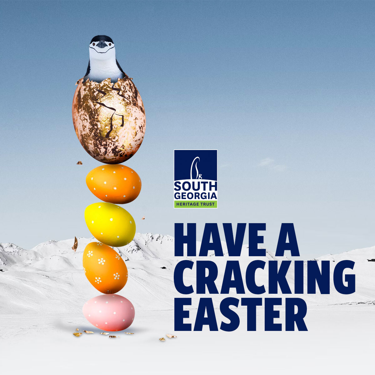 sght.org SGHT #SouthGeorgiaHeritageTrust #Easter #Easter2024 #HappyEaster #Penguin