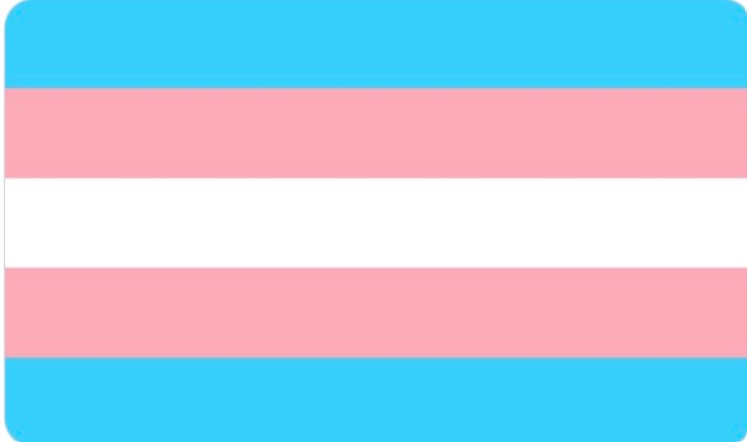Today is International Transgender Day of Visibility. The Faculty of Education, Health and Human Sciences supports the trans community. #internationaltransdayofvisibility