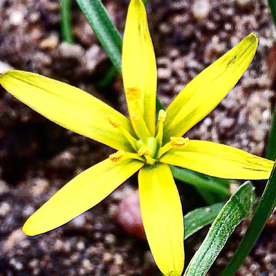 Morning lovers❤️☀️✨

Golden rays of the sun
Spring is so much fun 
Get out&amp;inhale fresh air
It's a magic sphere 🌈😊💋x

Happy Easter 🐇🐣☀️🌷❤️