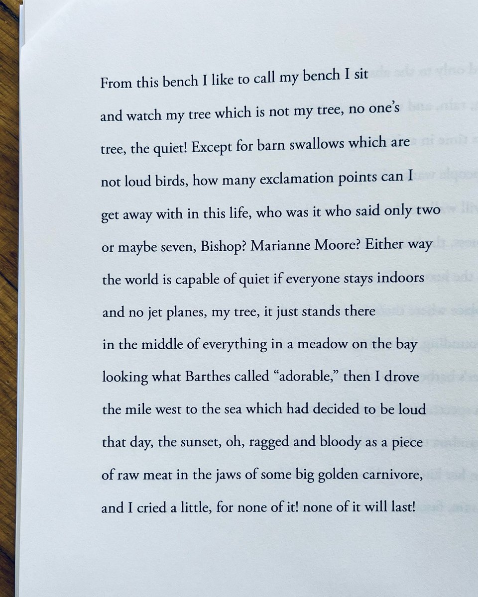 how many exclamation points can I/ get away with in this life, who was it who said only two/ or maybe seven, Bishop? Marianne Moore? from the brilliant @dlseuss's frank: sonnets 🌿🍃