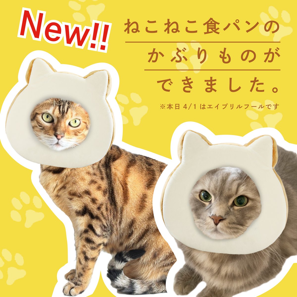 ♯Kri24POかおもじねこパンスクイーズ全5種ネコ型パン猫てへぺろ♂株式